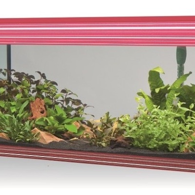 Aquário retangular com plantas e pedras decorativas