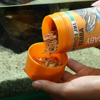 JBL Proterra Baby - Alimento completo especial para tartarugas jovens