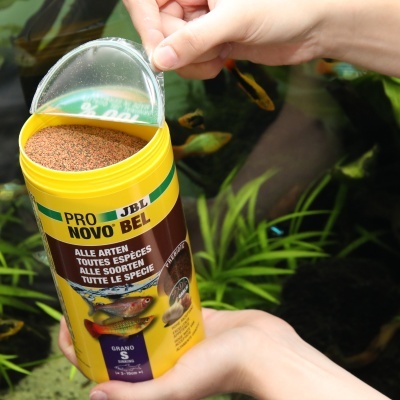 JBL PRONOVO BEL GRANO S - Alimento principal granulado para peixes tropicais pequenos