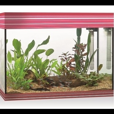 Aquários Pure L LED Askoll - Aquários em kit 68L