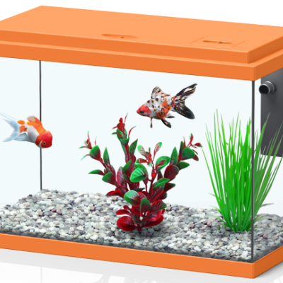 Aquatlantis Funny Fish 35 - Aquários 16L com filtro