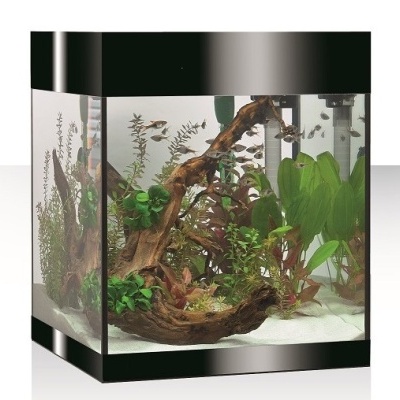 Aquários Pure M LED Askoll - Aquários em kit 44L