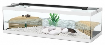 Terratlantis Tortum 100 - Tartarugueira 100cm