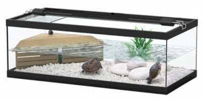 Terratlantis Tortum 75 - Tartarugueira 75cm