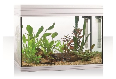 Aquários Pure L LED Askoll - Aquários em kit 68L
