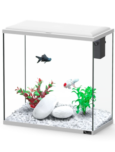 Aquatlantis Explorer Dublin Kit - Aquário com filtro e LED