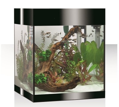 Aquários Pure M LED Askoll - Aquários em kit 44L