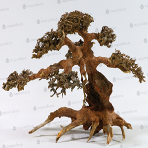 AD Aqua Bonsai L