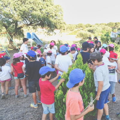 Visitas pedagógicas