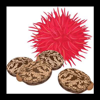 PROPRIEDADES ÓLEO VEGETAL DE RÍCINO