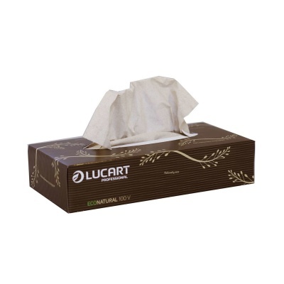 Lenços Faciais Lucart EcoNatural 100 V