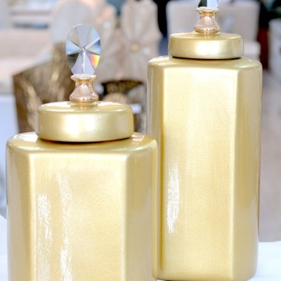 Conjunto de Potes Decorativos