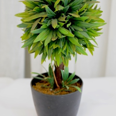 Mini-Planta