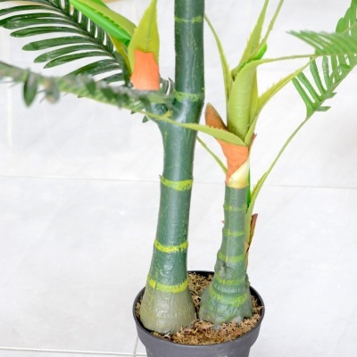 Planta Decorativa