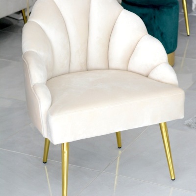 Cadeirão "Concha" Cadeirão "Concha"