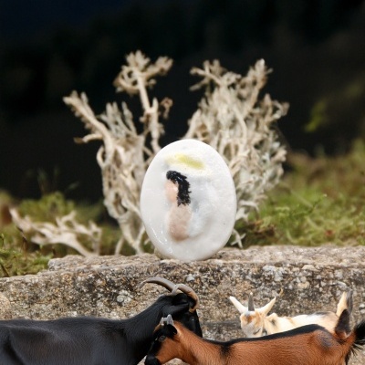 Serrana da Serra da Estrela