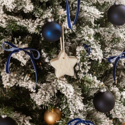 Sabonete&#x20;Estrela&#x20;Starlit&#x20;Grove&#x20;80g