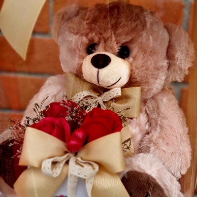 Teddy&#x20;Love&#x20;&#x28;Rosas&#x20;de&#x20;Sab&#x00E3;o&#x29;