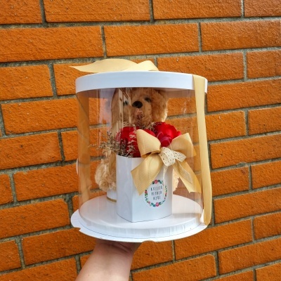 Teddy&#x20;Love&#x20;&#x28;Rosas&#x20;de&#x20;Sab&#x00E3;o&#x29;