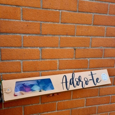 In&#x20;the&#x20;Box