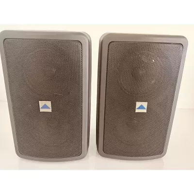 Coluna ALTO PAM5T - Par