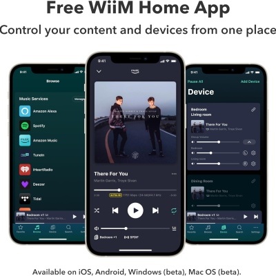 WiiM Ultra Multiroom Music Streamer WiiM Ultra Multiroom Music Streamer