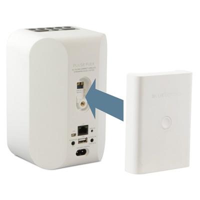 BP 100, Branco - BLUESOUND