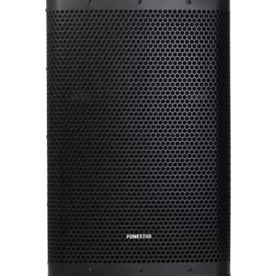 FORCE-12DSP Coluna alta potência ativa FONESTAR