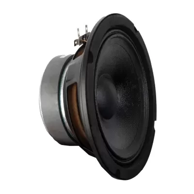 FPW-100 Altifalante woofer FONESTAR
