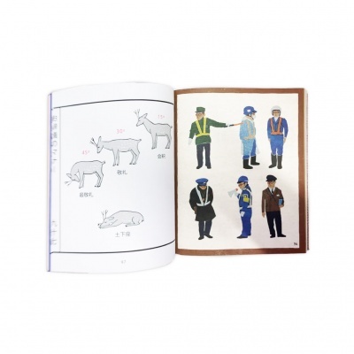 Publicações Serrote - Livro Tokyo Nokogiri