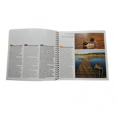 1000 Cerimónias - Sensações na Ria de Aveiro