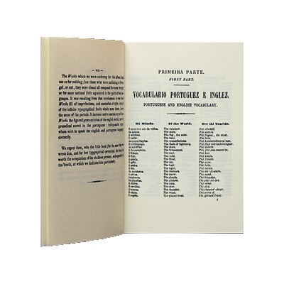 Publicações Serrote - Livro O novo guia de Conversação