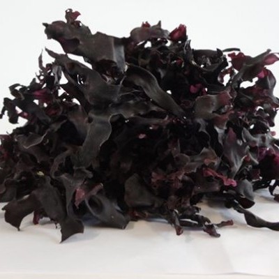 AlgaPlus - Algas Secas Bio Tok de Mar