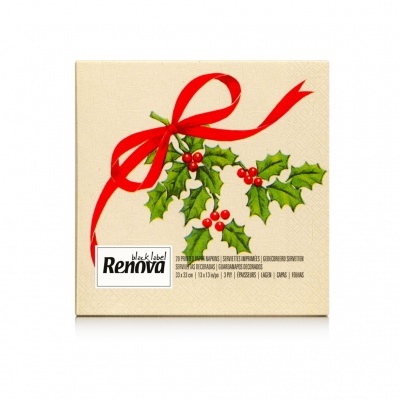 Renova - Guardanapos Coloridos e Decorados