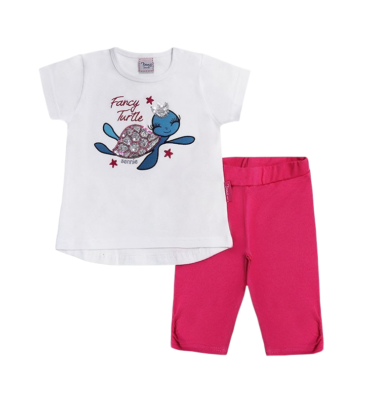 Conjunto t-shirt e legging Fancy Turtle  6 - 12 meses