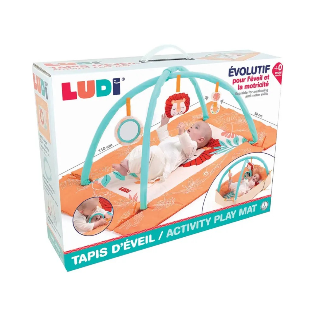 Tapete de atividades - Leão