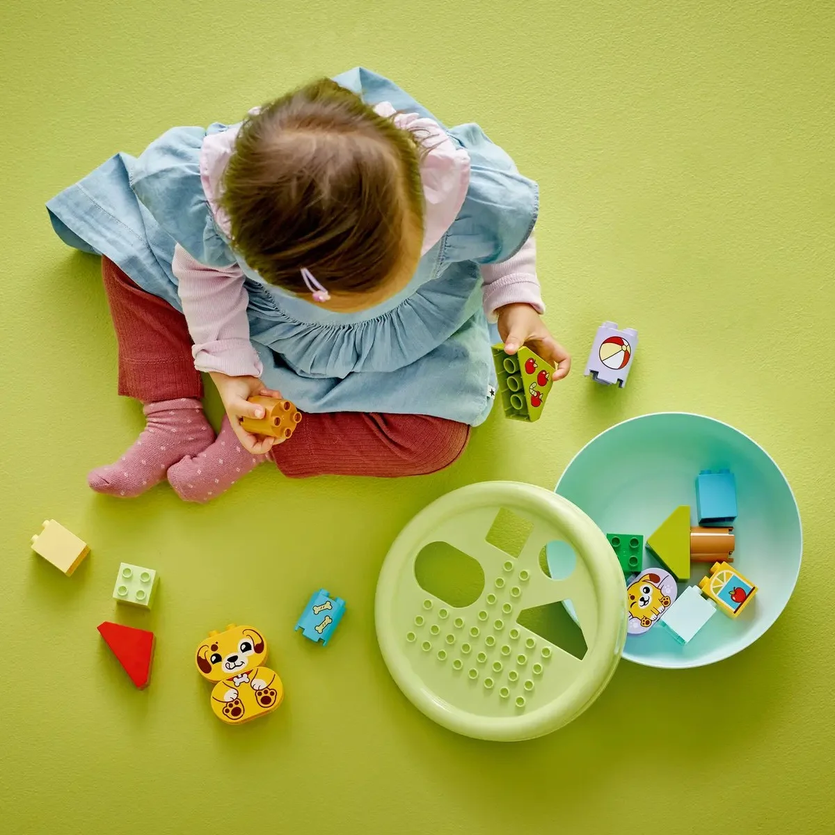 LEGO Duplo Organizador de formas 10441 - Casa de Cachorrinho