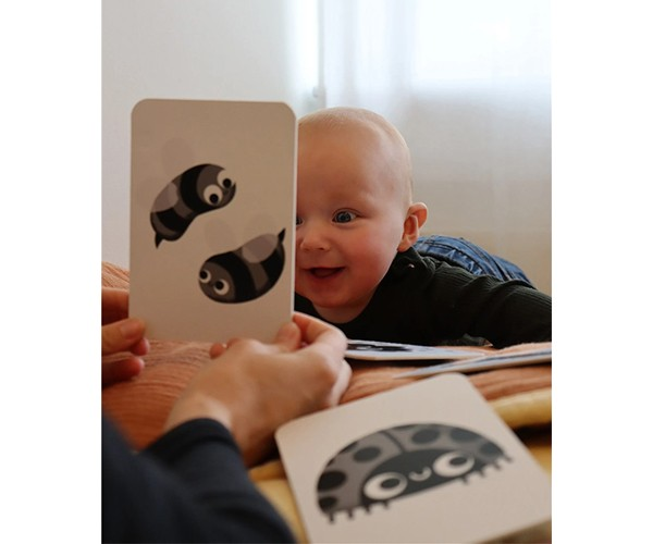 Cartões educativos com desenhos de insetos a preto e branco mostrados a um bebé sorridente