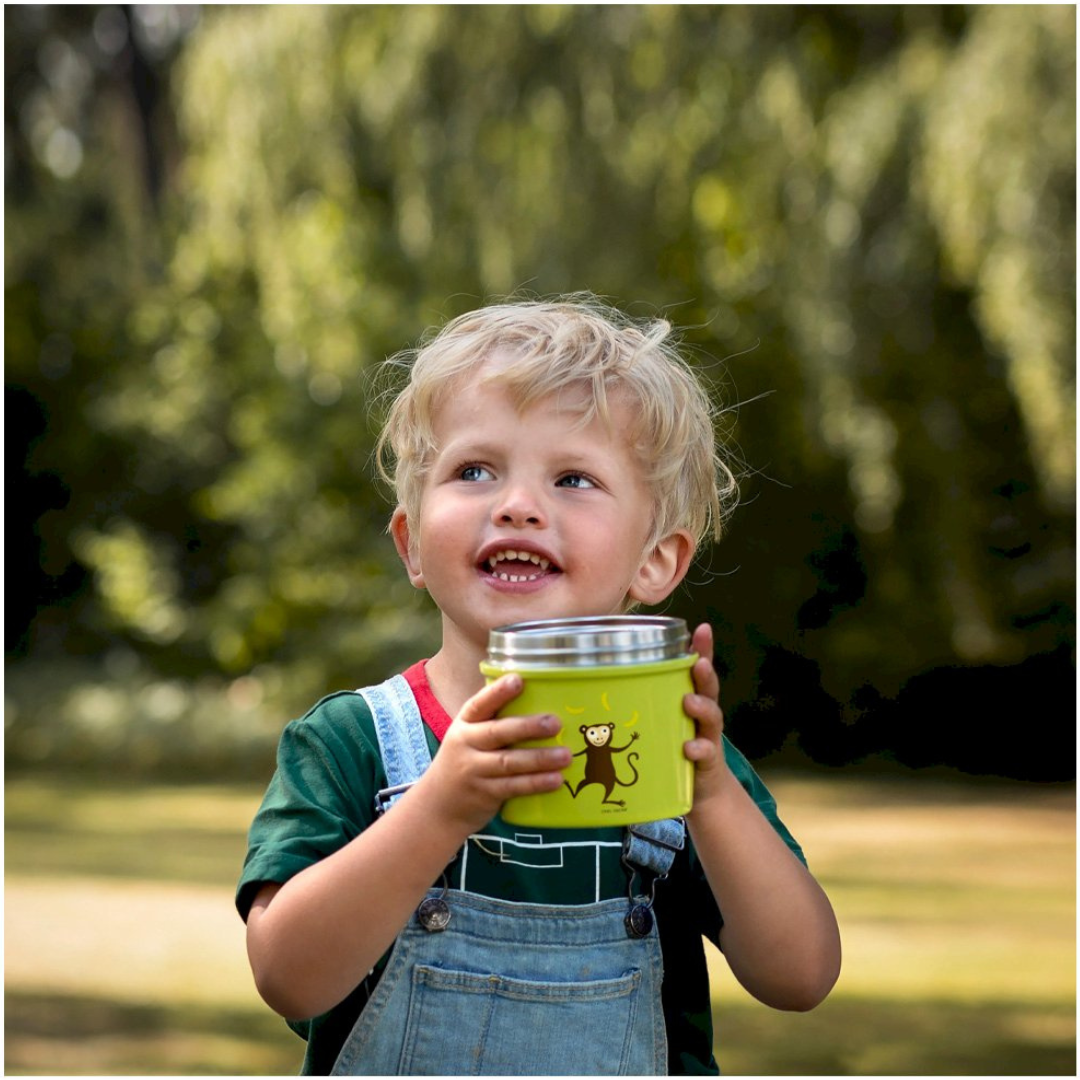 Termo Bento Sólidos 500ml Aranha