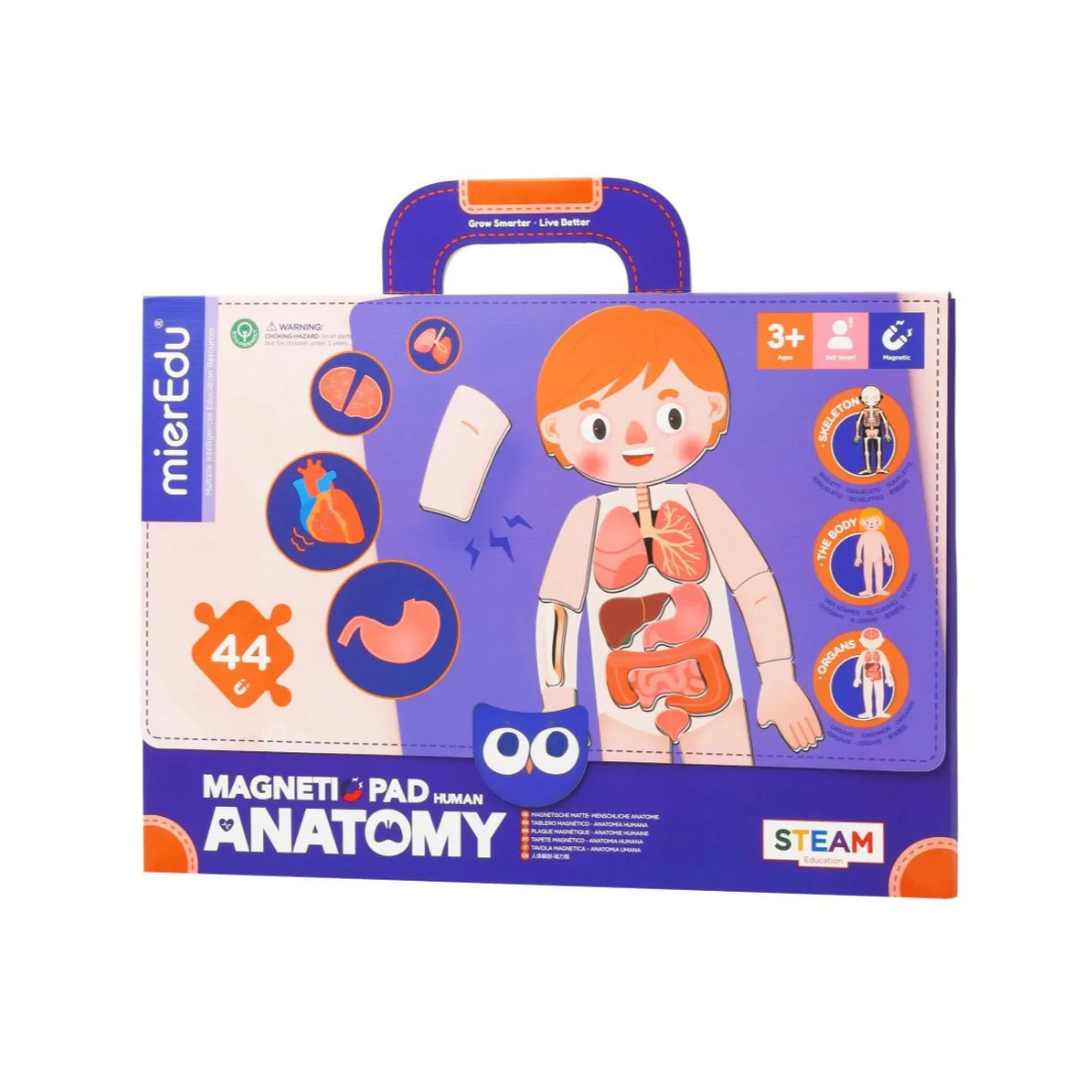 Magnetic Pad - Anatomia Humana