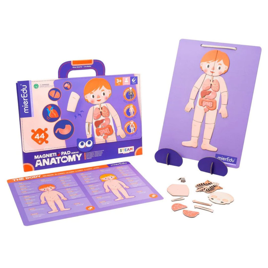 Magnetic Pad - Anatomia Humana