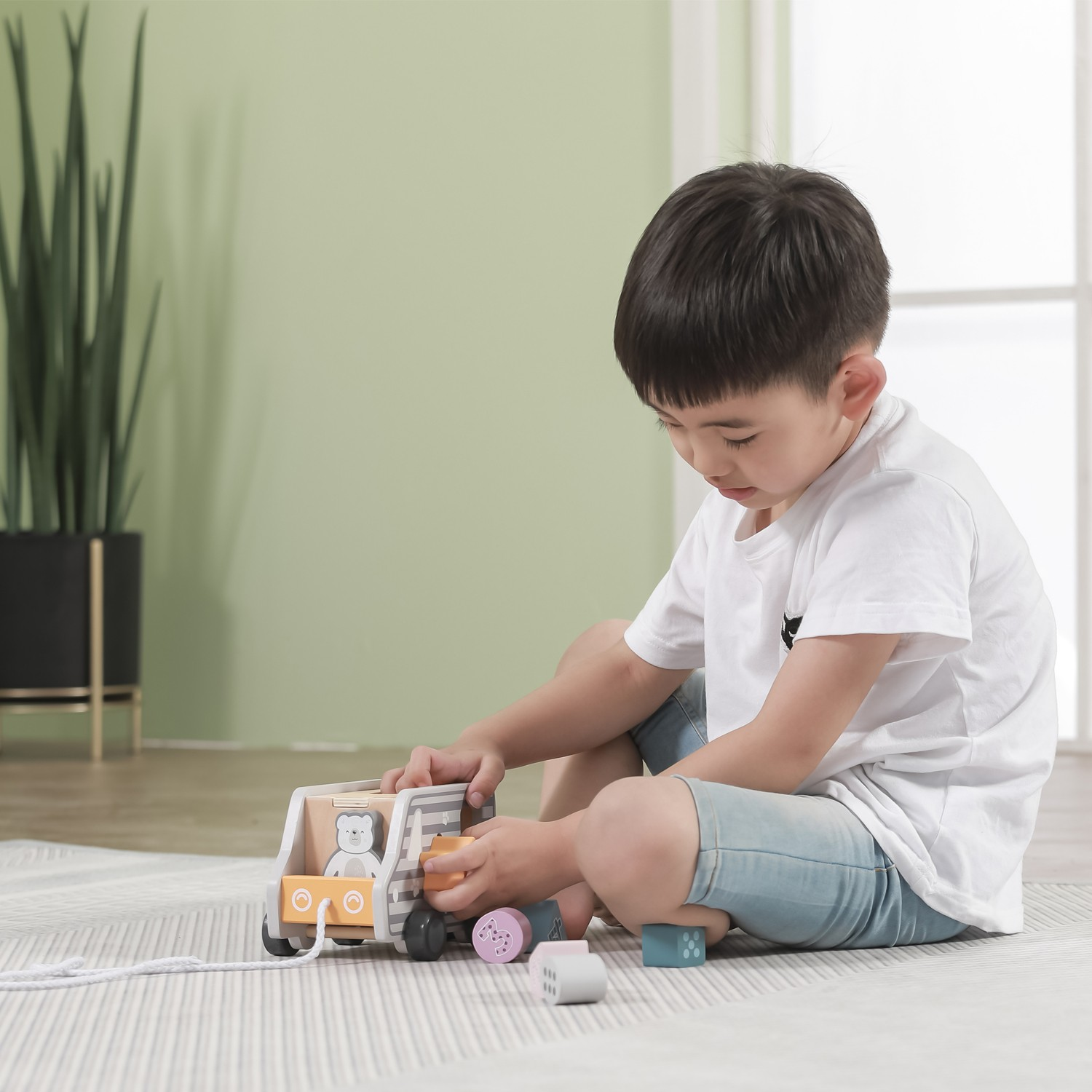 Camião classificador de formas Pull-along