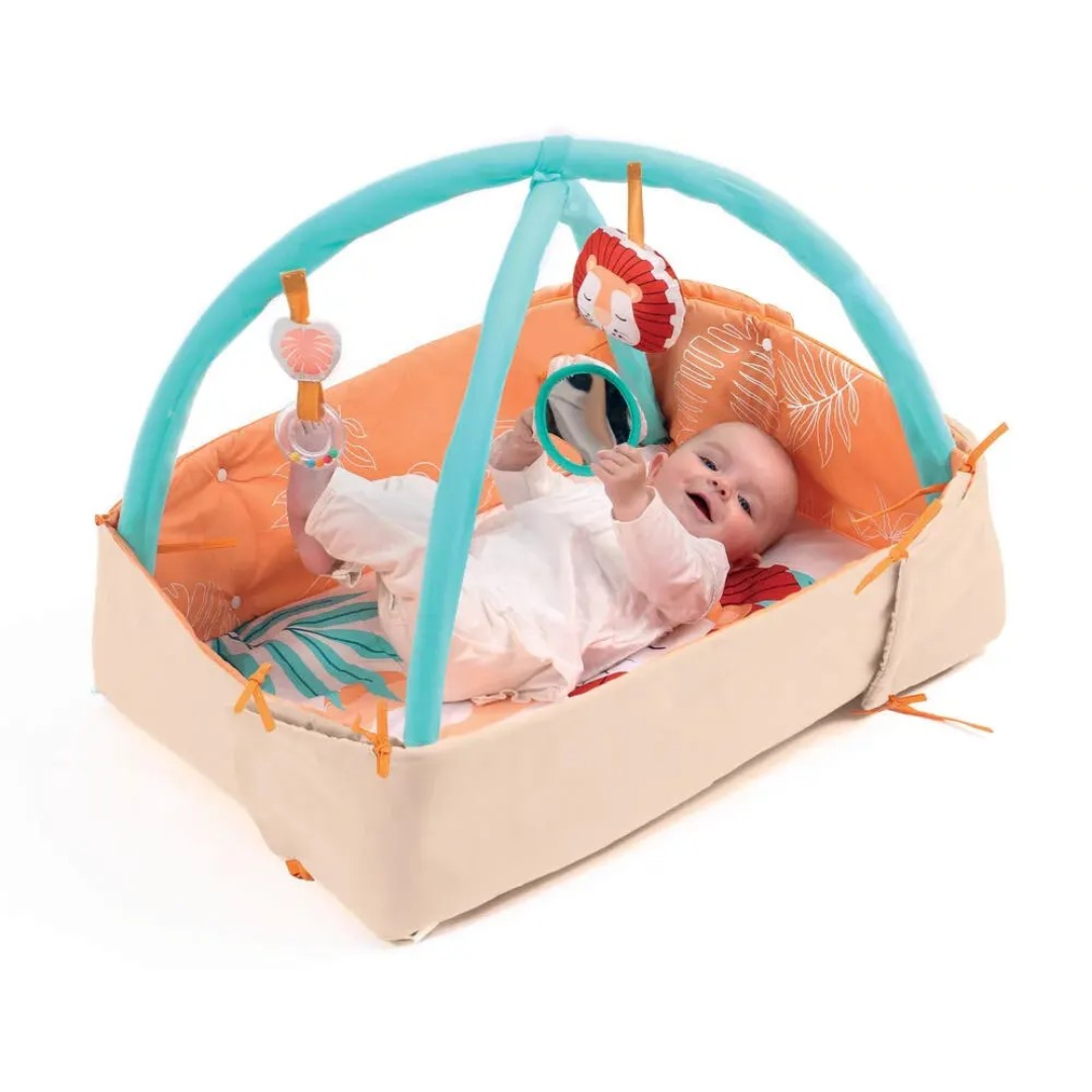 Tapete de atividades - Leão