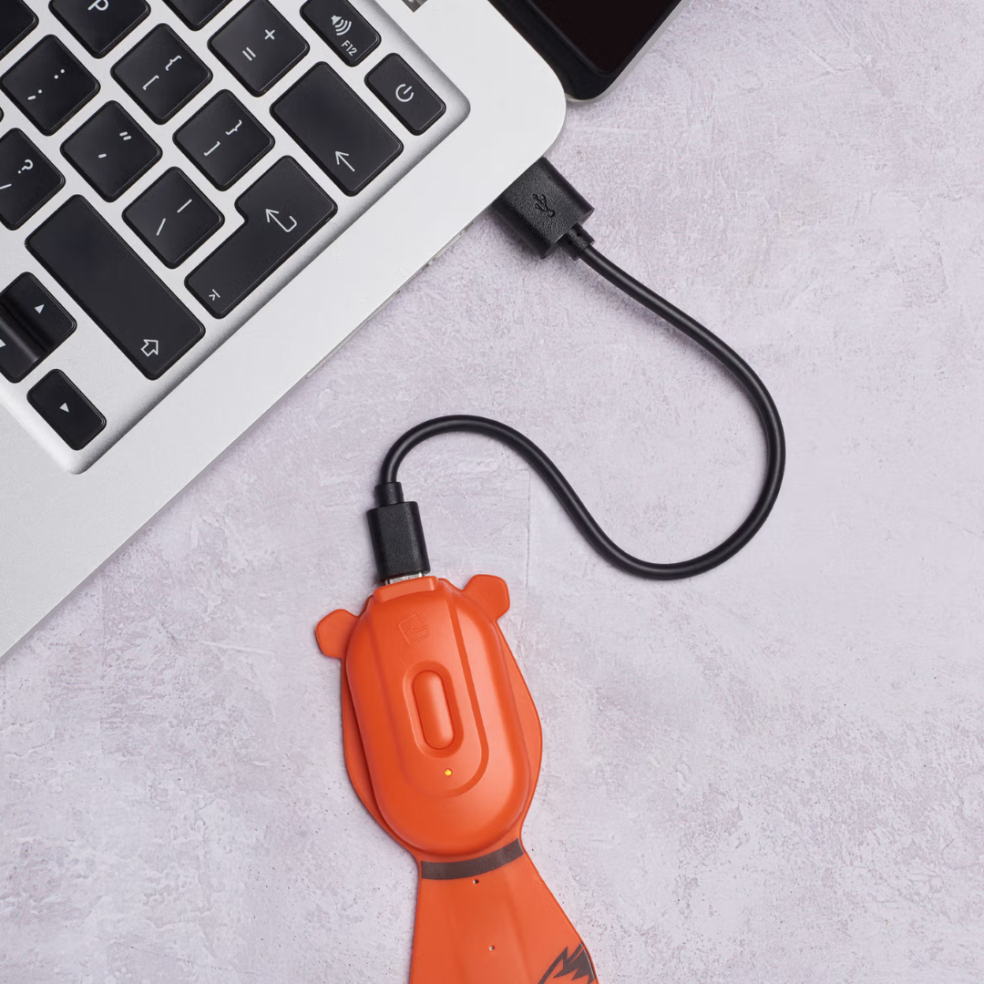 Flexilight recarregável Raposa