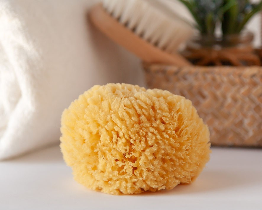 Esponja de banho natural