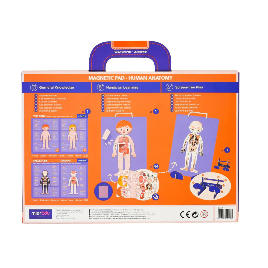 Magnetic Pad - Anatomia Humana