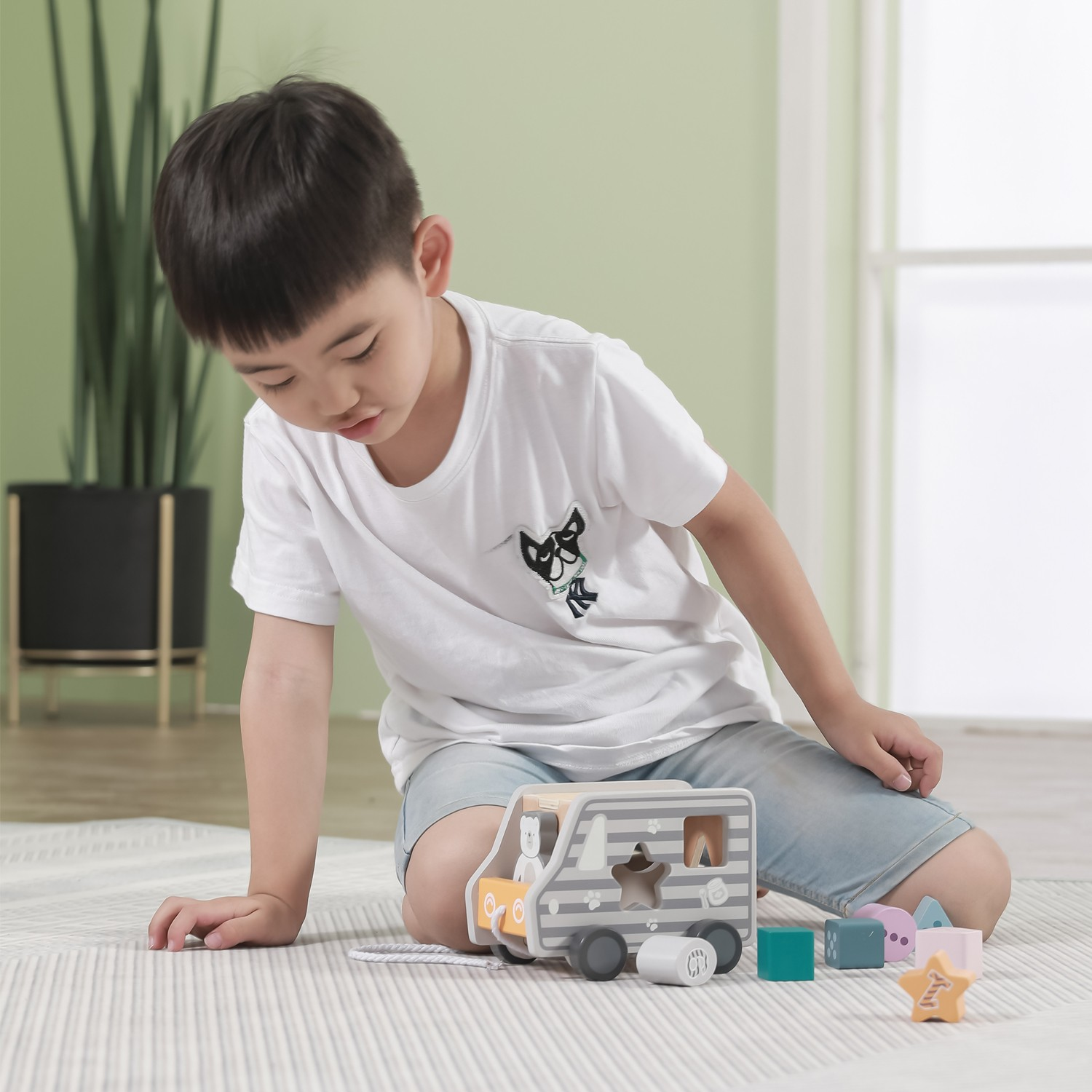 Camião classificador de formas Pull-along