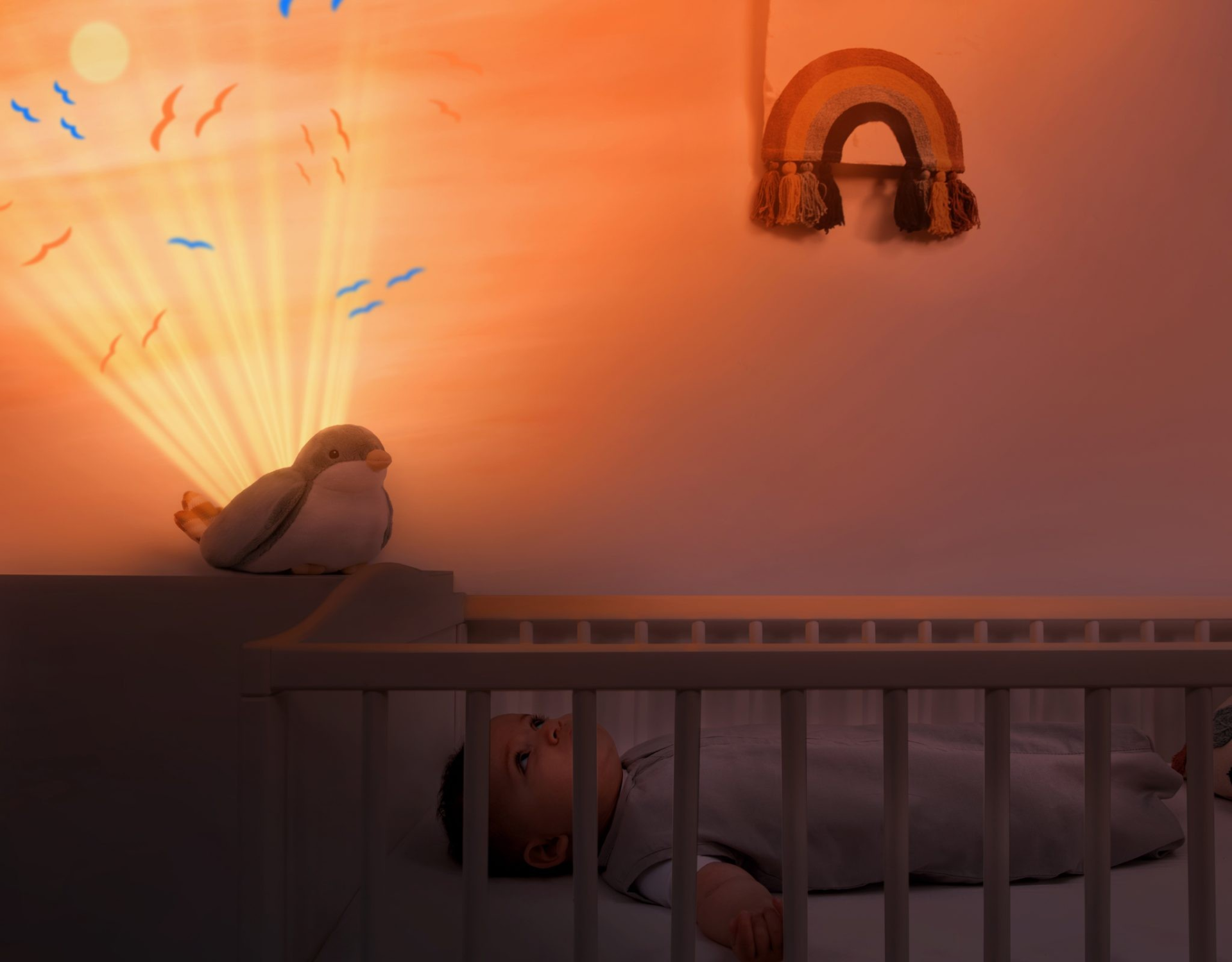 Projetor pôr do sol - pardal Shally