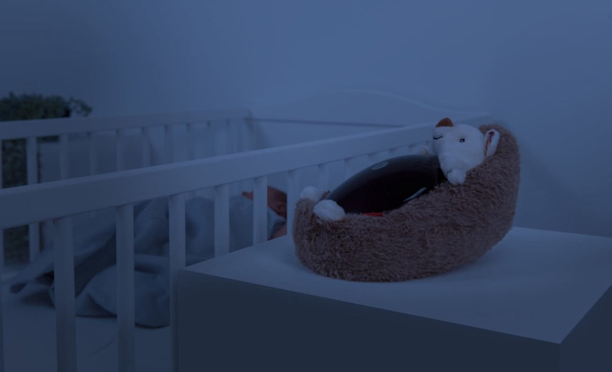 Projetor pôr do sol - ouriço Henry