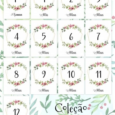 Cartões do bebé Milestone "Boheme Chic" Cartões do bebé Milestone "Boheme Chic"